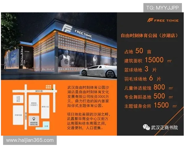 武汉排球队意识对比深度剖析与战术演变的独特视角