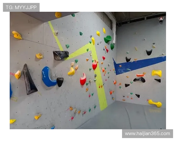 南京攀岩队近期状态深度对比与分析揭示训练成果与未来挑战