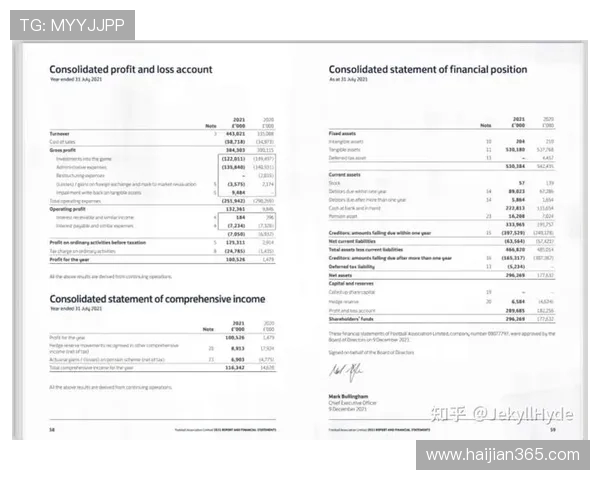 南京足球队运营分析：成功经验与不足之处的深度剖析