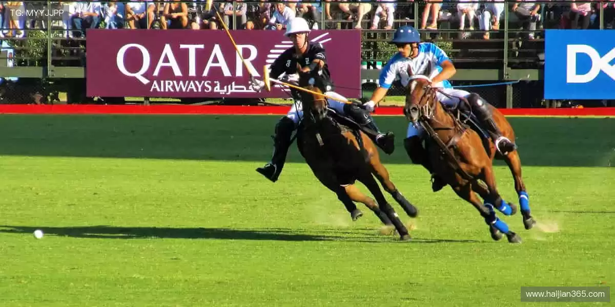 🎯运动装备，潮流周边，一站式满足你的热爱！